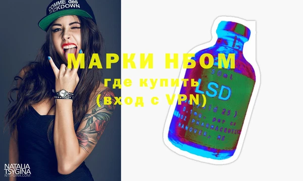 молекула духа Козловка
