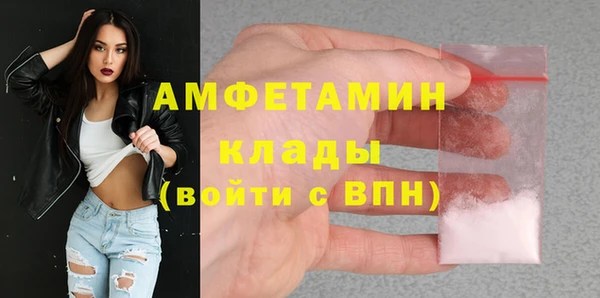 молекула духа Козловка