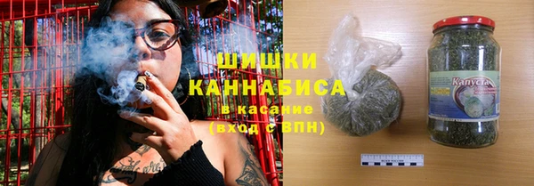 молекула духа Козловка