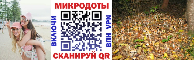 гидра рабочий сайт  Кирсанов  Галлюциногенные грибы MAGIC MUSHROOMS 